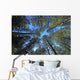 Extremely Tall Pine Trees Wall Decal