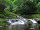 Waterfall Stream Wall Decal