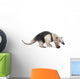 Collared Anteater Wall Decal Design 1