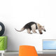 Collared Anteater Wall Decal Design 1