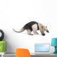 Collared Anteater Wall Decal Design 1