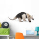 Collared Anteater Wall Decal Design 1