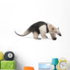 Collared Anteater Wall Decal Design 1