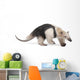 Collared Anteater Wall Decal Design 1