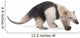 Collared Anteater Wall Decal Design 1