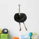 Male Ostrich Struthio Camelus Wall Decal