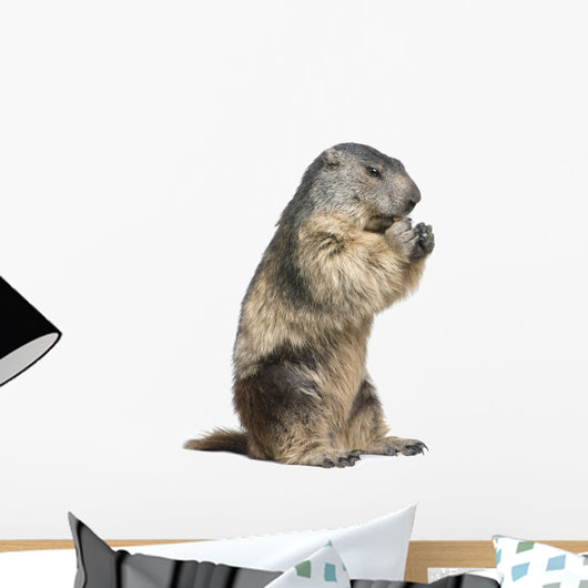Groundhog Wall Decal