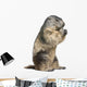 Groundhog Wall Decal