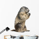 Groundhog Wall Decal
