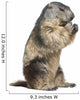 Groundhog Wall Decal