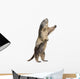 Alpine Marmot Wall Decal Design 2