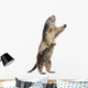 Alpine Marmot Wall Decal Design 2