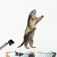 Alpine Marmot Wall Decal Design 2