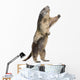 Alpine Marmot Wall Decal Design 2