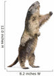 Alpine Marmot Wall Decal Design 2