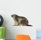 Alpine Marmot Wall Decal Design 1