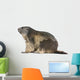 Alpine Marmot Wall Decal Design 1