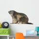 Alpine Marmot Wall Decal Design 1