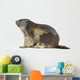 Alpine Marmot Wall Decal Design 1