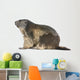 Alpine Marmot Wall Decal Design 1