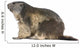 Alpine Marmot Wall Decal Design 1