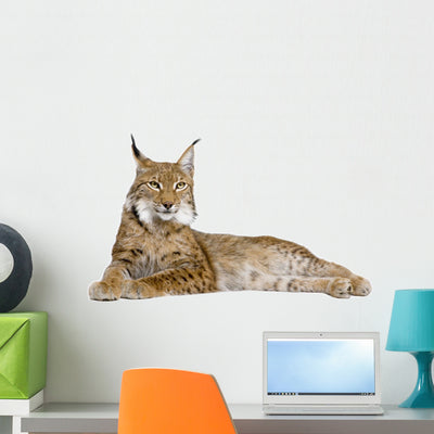 Eurasian Lynx Wall Decal shown on a wall