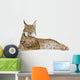 Eurasian Lynx - Lynx lynx (5 years old) Wall Decal