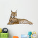 Eurasian Lynx - Lynx lynx (5 years old) Wall Decal