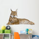 Eurasian Lynx - Lynx lynx (5 years old) Wall Decal