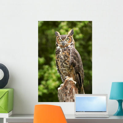 Owl Wall Decal shown on a wall