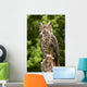Owl Wall Decal