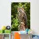 Owl Wall Decal