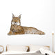 Eurasian Lynx Wall Decal