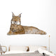 Eurasian Lynx Wall Decal