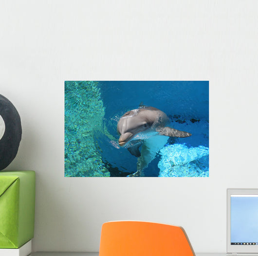 Dolphin Swimming Coral Reef Wall Decal