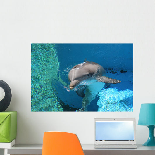 Dolphin Swimming Coral Reef Wall Decal