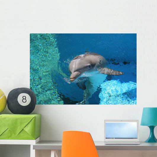 Dolphin Swimming Coral Reef Wall Decal