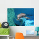 Dolphin Swimming Coral Reef Wall Decal