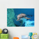 Dolphin Swimming Coral Reef Wall Decal