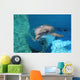 Dolphin Swimming Coral Reef Wall Decal