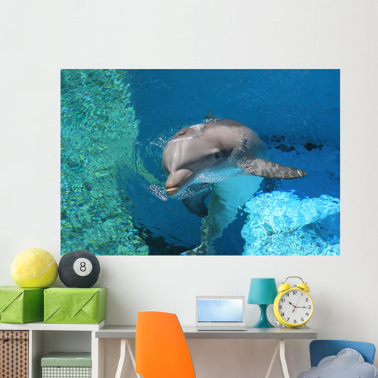 Dolphin Swimming Coral Reef Wall Decal