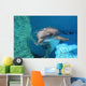 Dolphin Swimming Coral Reef Wall Decal
