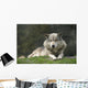 Gray Wolf Wall Decal
