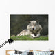 Gray Wolf Wall Decal