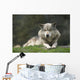 Gray Wolf Wall Decal