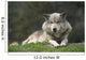 Gray Wolf Wall Decal