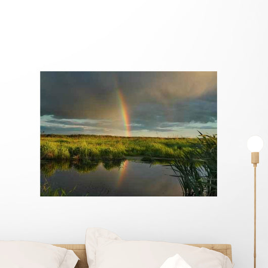 Evening Rainbow Wall Decal