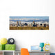 Downtown Denver Colorado Wall Decal