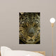 Looker Wall Decal