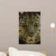 Looker Wall Decal